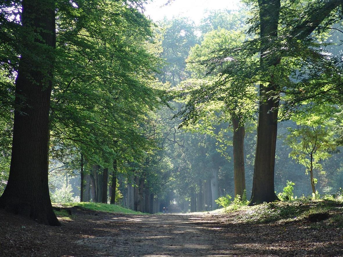 Luxe Safaritent Medley 5 Persoons Op Camping Rijsterbos Экстерьер фото